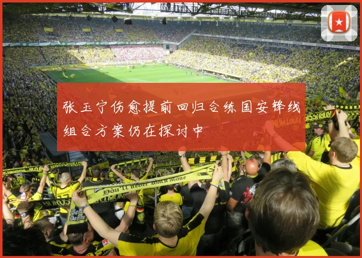 张玉宁伤愈提前回归合练国安锋线组合方案仍在探讨中